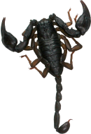 Scorpione.png